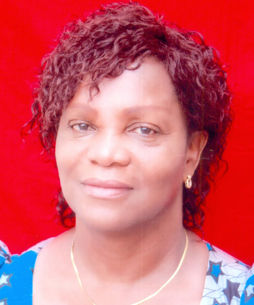 Dr. Stella N Nwosu